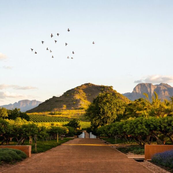 Babylonstoren